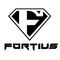 Jinan Fortius International Trading Co., Ltd. ‎