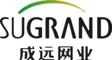 Hefei Grand Nets Co., Ltd. ‎