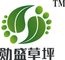 Hebei Xunsheng Simulation Lawn Co., Ltd. ‎
