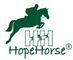 QINGDAO HOPE HORSE TRADE CO., LTD. ‎