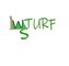 QINGDAO WELLSUN TURF CO., LTD ‎