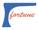 Hunan Fortune Technology Co., LTD. 
