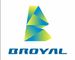 Guangdong Broyal New Material Technology Co., Ltd. ‎