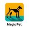Dongguan Magic Pet Products Co., Ltd. ‎