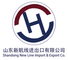 Shandong New Line Import and Export Co., Ltd ‎