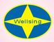 NANTONG WELLSING TRADE CO., LTD. ‎