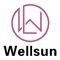 Shenzhen Wellsun Wood & Metal Products Co., LTD 