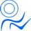 Shanghai Raiz International Trade Co., Ltd. 