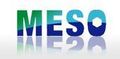 Beijing Mesochem Technology Co., Ltd. ‎